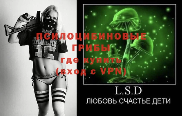 спиды Липки