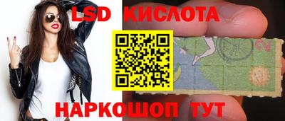 стафф Дубна
