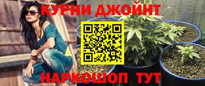 стафф Дубна