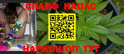 стаф Донецк