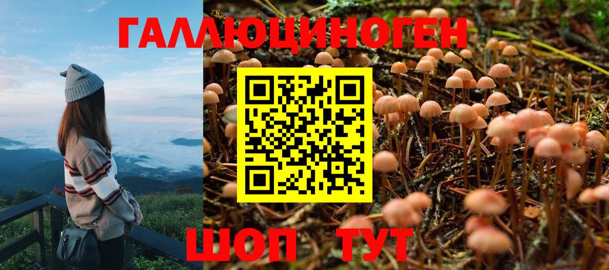 Галлюциногенные грибы мухоморы Назрань