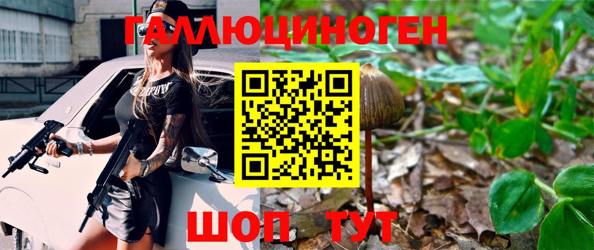 Назрань  Галлюциногенные грибы мицелий  Вход с VPN 