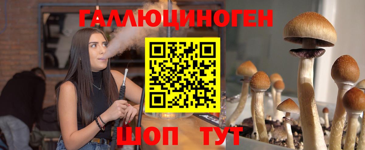 Псилоцибиновые грибы Psilocybine cubensis Назрань