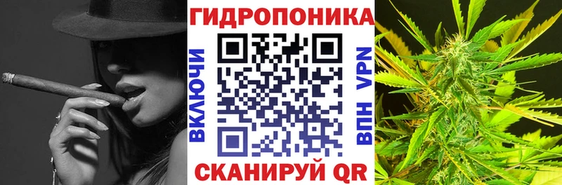 Купить  Назрань  Бошки Шишки ГИДРОПОН 