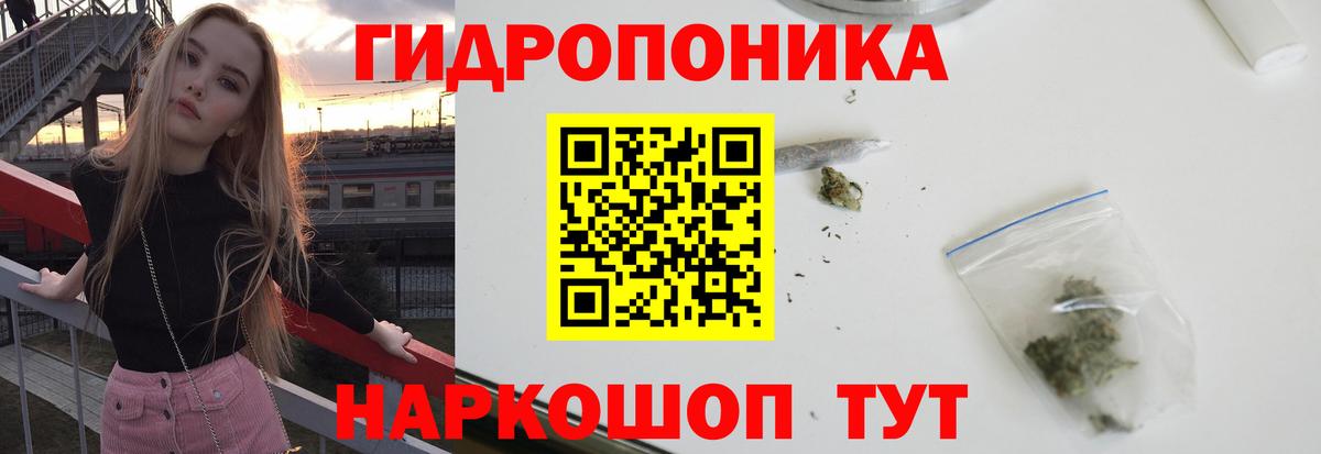 Шишки марихуана индика  Шишки марихуана THC 21%  Назрань  Бошки марихуана марихуана  Бошки Шишки конопля  Вход с VPN 